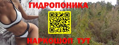 таблы Берёзовский