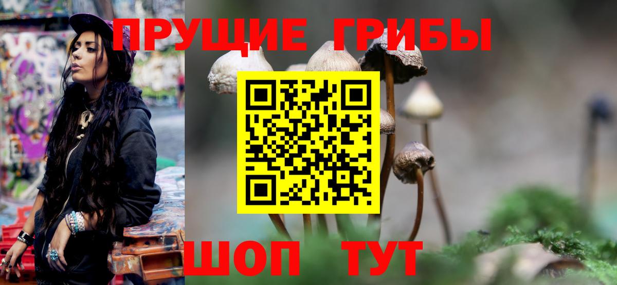 Псилоцибиновые грибы Psilocybine cubensis  Галлюциногенные грибы Cubensis  Карачаевск  Вход с VPN 